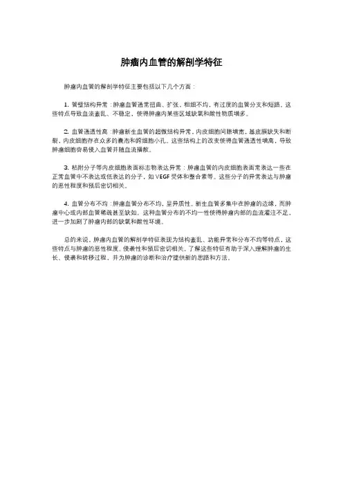肿瘤内血管的解剖学特征