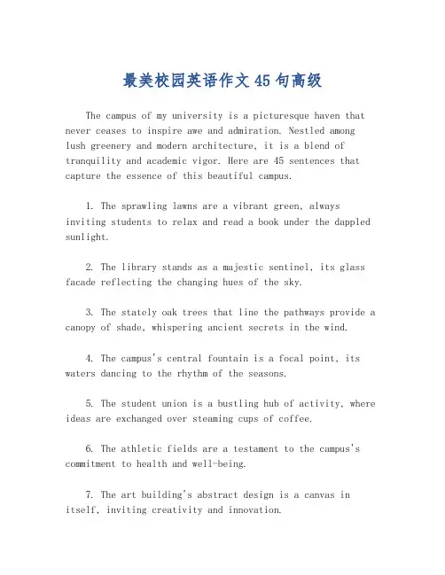 最美校园英语作文45句高级