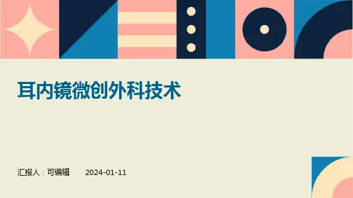 耳内镜微创外科技术