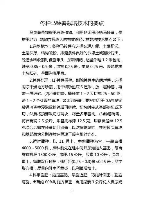 冬种马铃薯栽培技术的要点