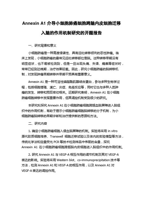 Annexin A1介导小细胞肺癌细胞跨脑内皮细胞迁移入脑的作用机制研究的开题报告