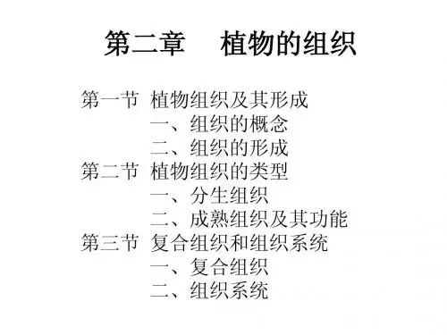 12第二章植物组织