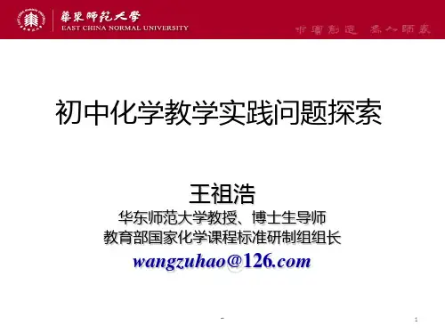 王祖浩化学教学实践问题探索PPT课件