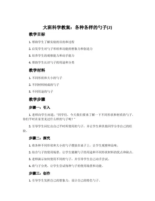 大班科学教案：各种各样的勺子(2)