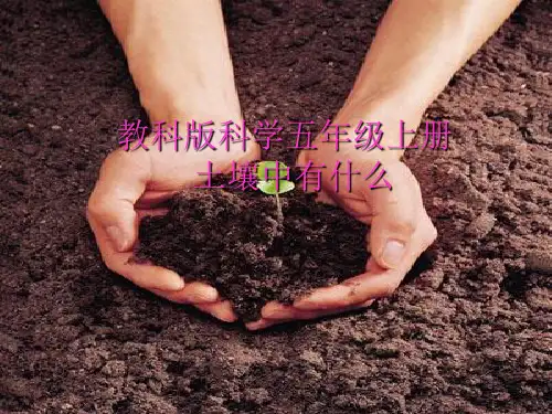 五年级上册科学课件- 3.4 土壤中有什么｜ 教科版 (共12张PPT)