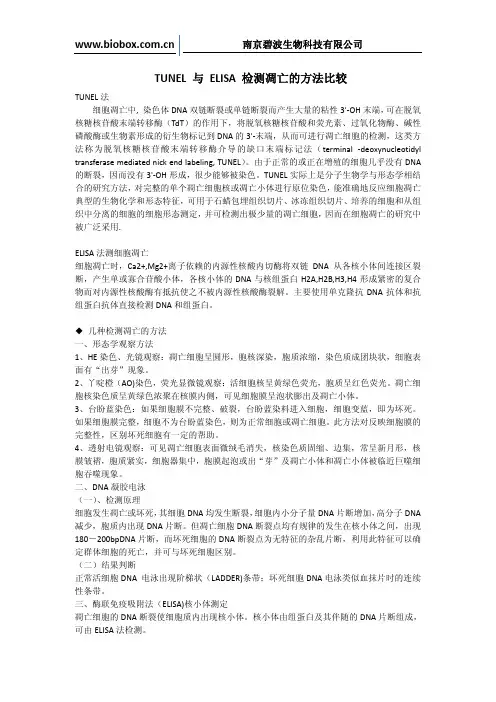 TUNEL 与 ELISA 检测凋亡的方法比较