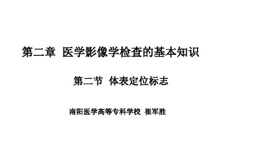 体表定位标志解析