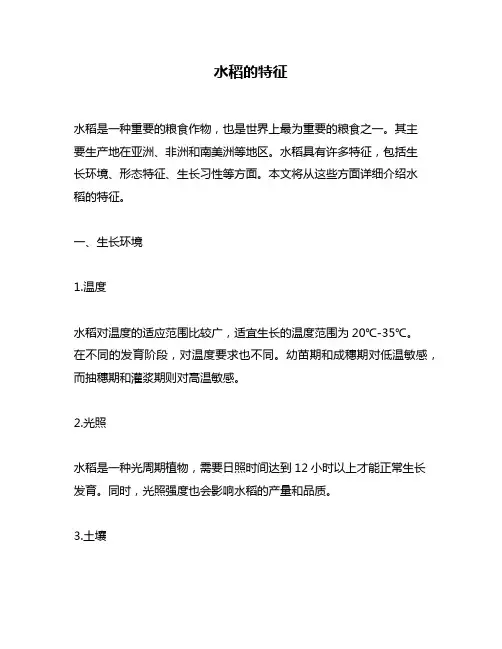 水稻的特征