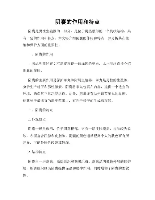 阴囊的作用和特点