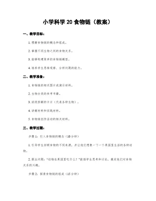 小学科学20食物链(教案)