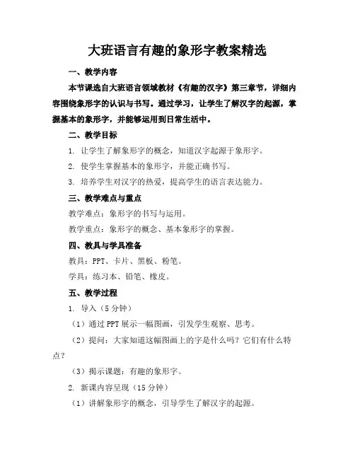 大班语言有趣的象形字教案精选
