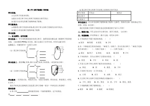 初中生物《种子植物》导学案