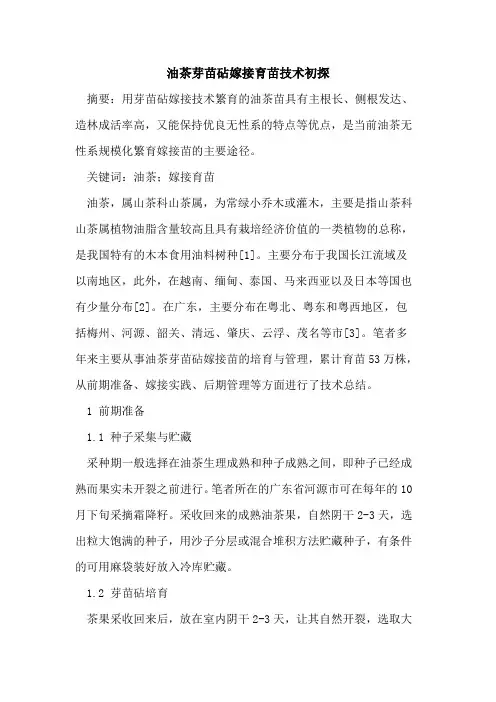油茶芽苗砧嫁接育苗技术