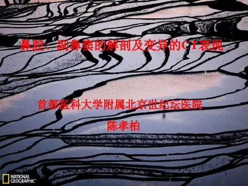 副鼻窦解剖学基础(呼吸与鼻)