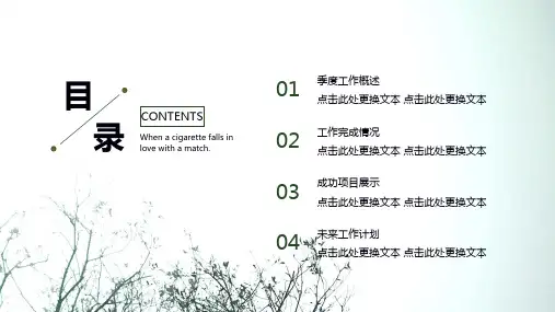 小清新商务工作计划汇报总结PPT模板 (34)