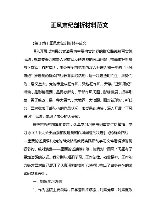 正风肃纪剖析材料范文