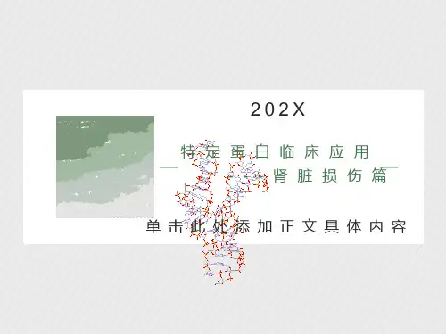 肾脏损伤监测相关指标