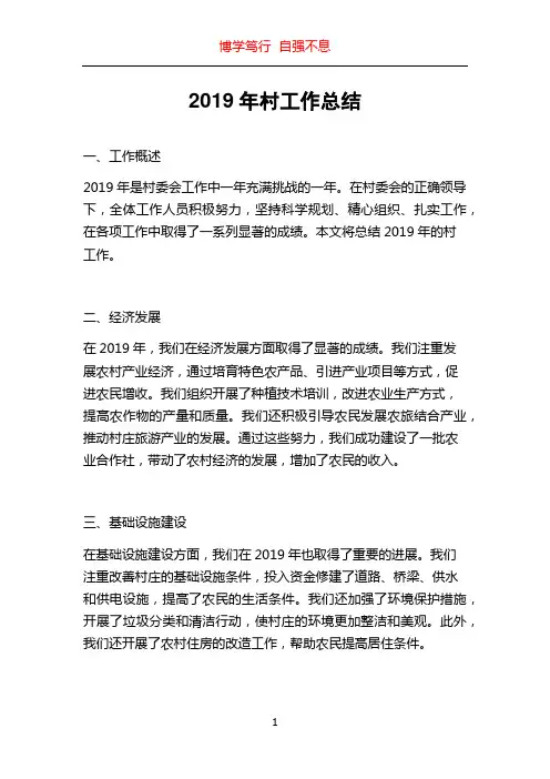 2019年村工作总结