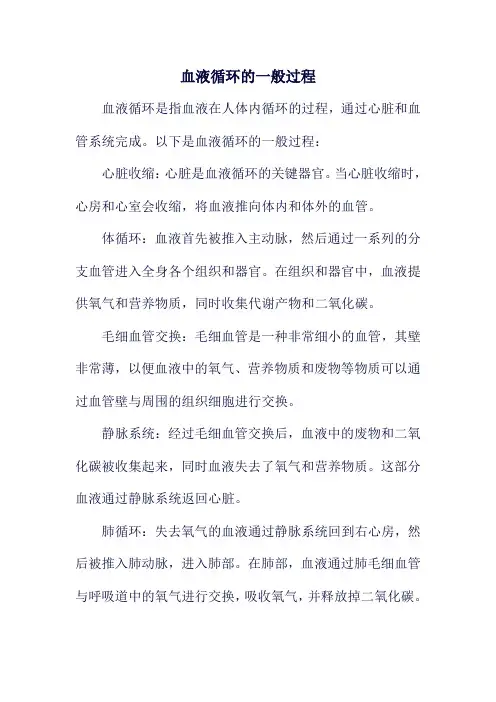血液循环的一般过程