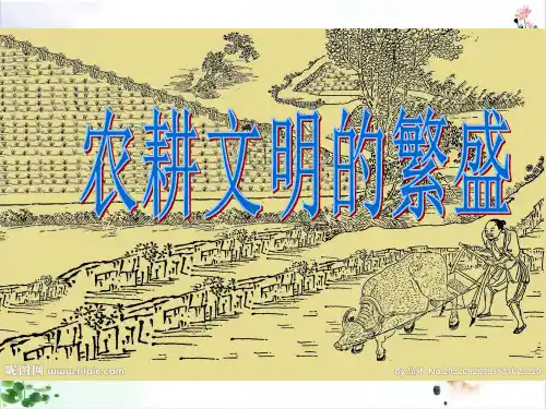 农耕文明的繁盛课件ppt