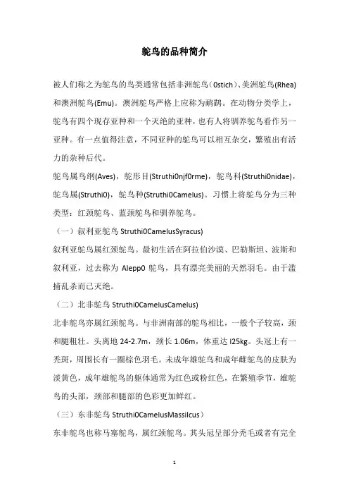 鸵鸟的品种简介
