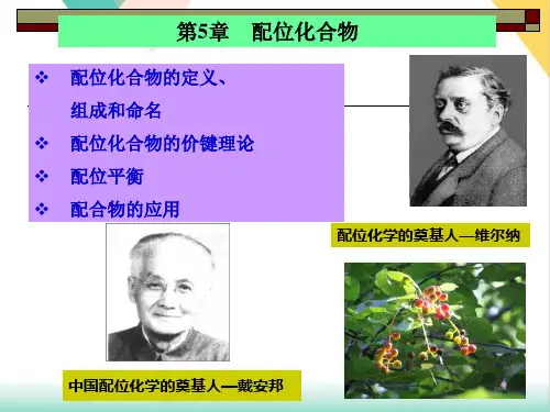 高中化学竞赛第5章配位化合物课件