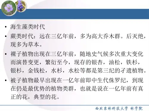 园林树木学被子植物门1-1
