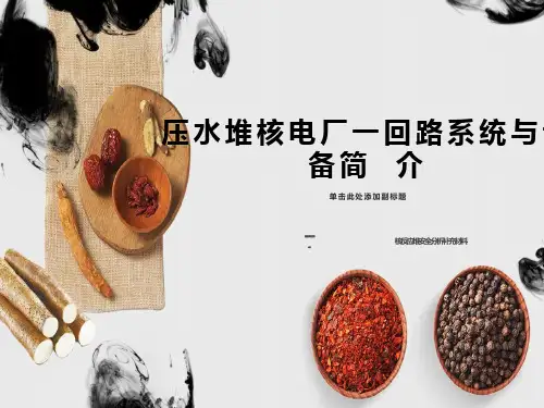 压水堆核电厂一回路系统与设备简介补充讲义