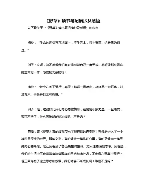《野草》读书笔记摘抄及感悟