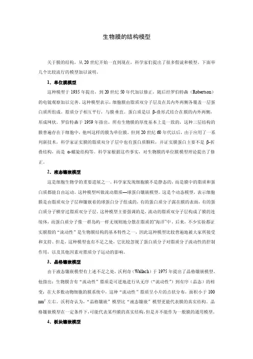 生物膜的结构模型（附图）