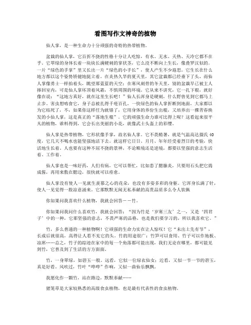 看图写作文神奇的植物