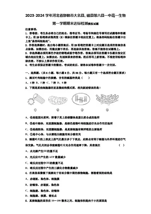 2023-2024学年河北省邯郸市大名县、磁县等六县一中高一生物第一学期期末达标检测模拟试题含解析