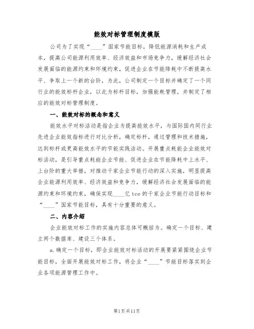能效对标管理制度模版（3篇）