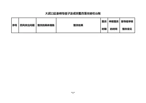 大武口区委领导班子及成员整改落实销号台账