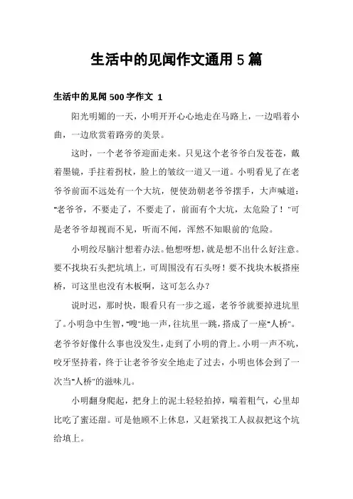 生活中的见闻作文通用5篇
