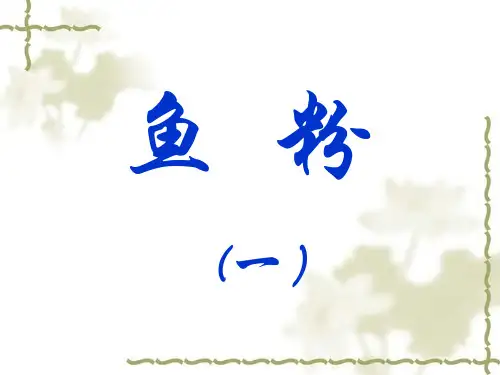 鱼粉知识1