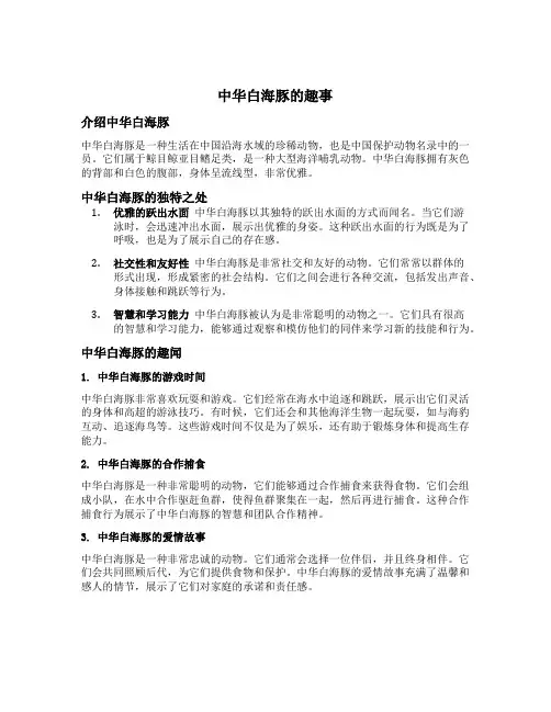 中华白海豚的趣事