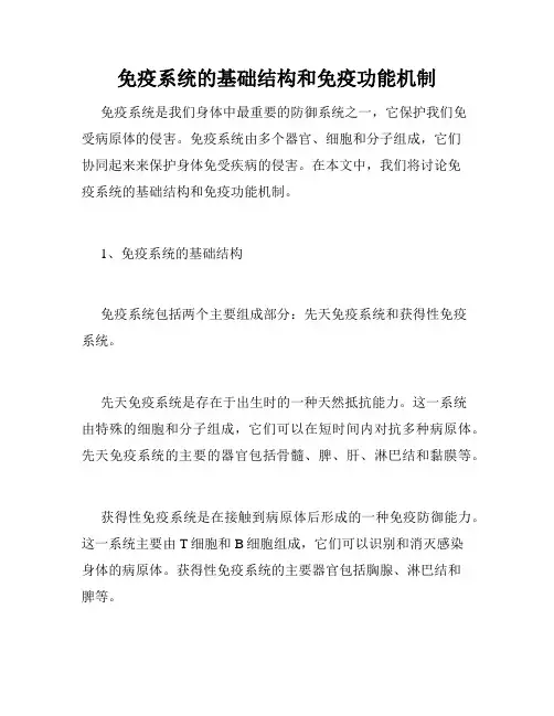 免疫系统的基础结构和免疫功能机制