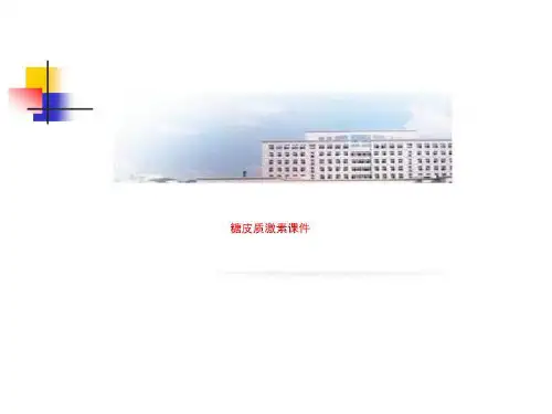 糖皮质激素课件