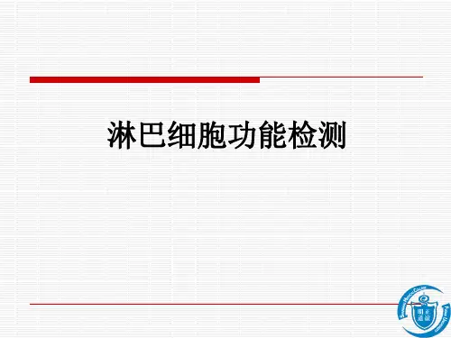 医学免疫学实验六 淋巴细胞功能检测