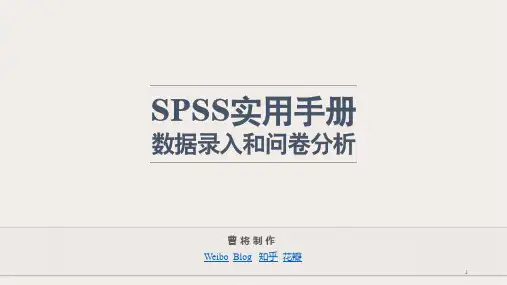 SPSS实用手册：数据录入和问卷分析PPT学习课件