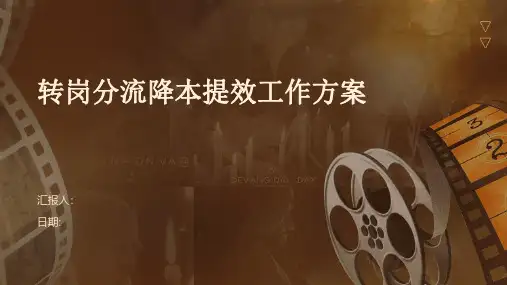 转岗分流降本提效工作方案