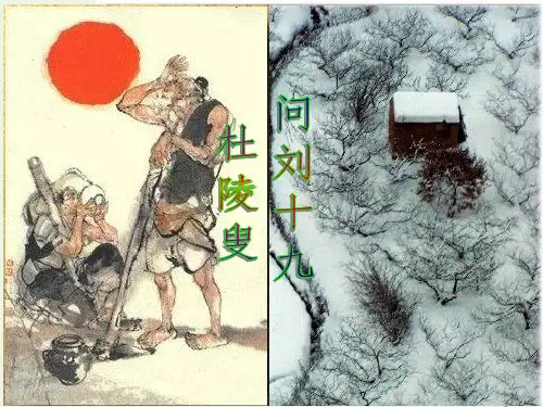 2021_2022学年高中语文第二单元7白居易诗四首杜陵叟课件粤教版选修唐诗宋词元散曲蚜