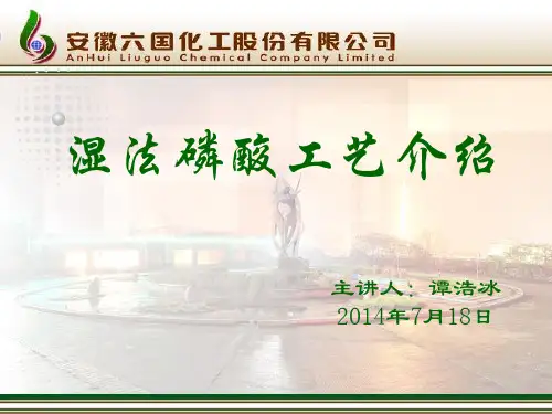 湿法磷酸工艺介绍2014版
