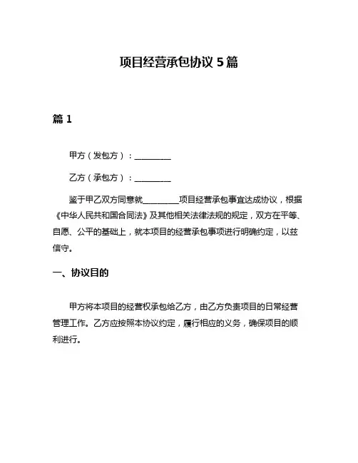 项目经营承包协议5篇