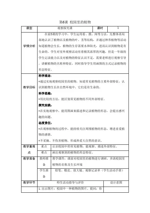 (2024秋)科教版科学一年级上册《校园里的植物》教案