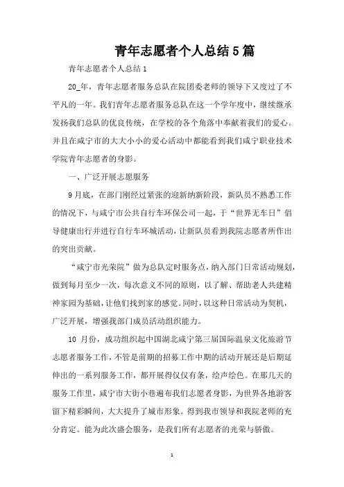 青年志愿者个人总结5篇(精编版)