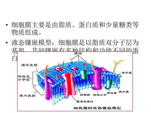细胞膜的物质转运功能