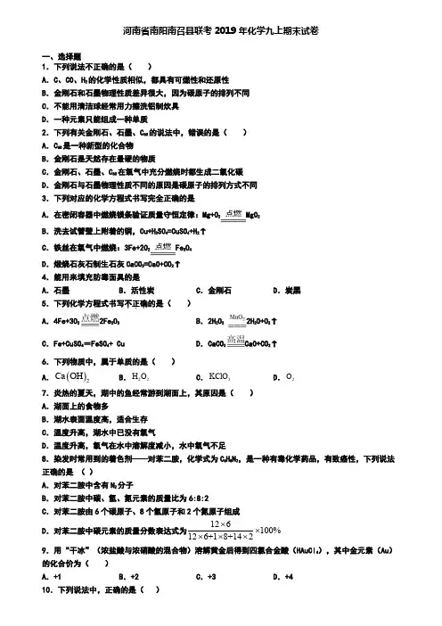 河南省南阳南召县联考2019年化学九上期末试卷