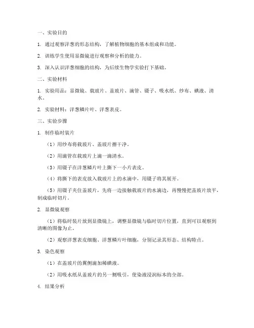 洋葱形态分析实验报告